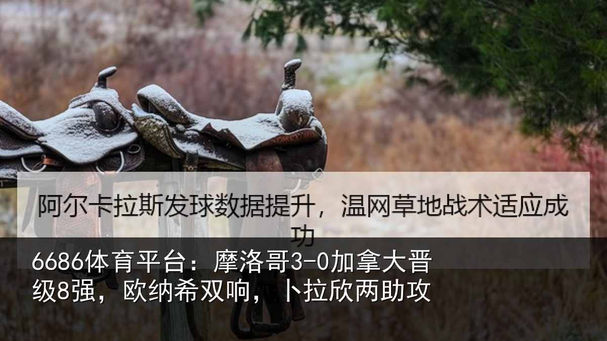6686体育平台：摩洛相关情况纳希相关情况